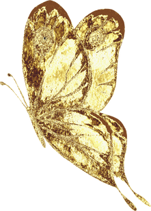 Golden Butterfly Illustration