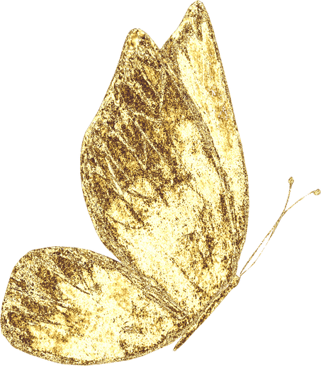 Golden Butterfly Illustration