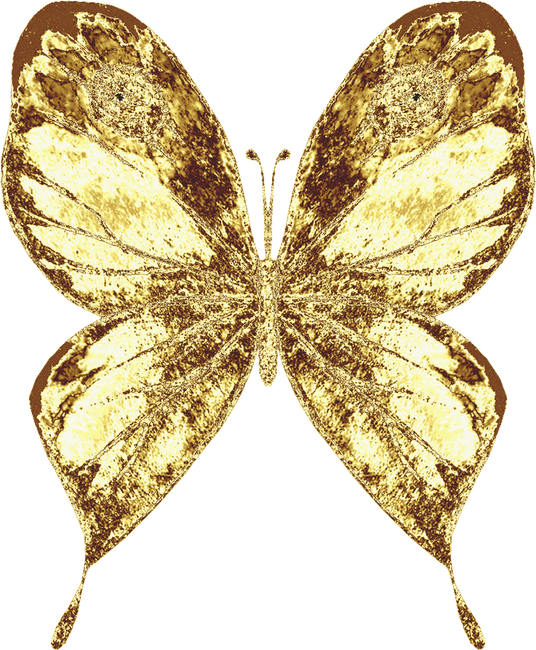 Golden Butterfly Illustration